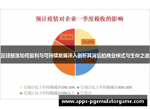 足球部落如何盈利与可持续发展深入剖析其背后的商业模式与生存之道