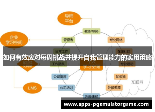 如何有效应对每周挑战并提升自我管理能力的实用策略