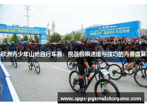 欧洲青少年山地自行车赛：挑战极限速度与技巧的青春盛宴